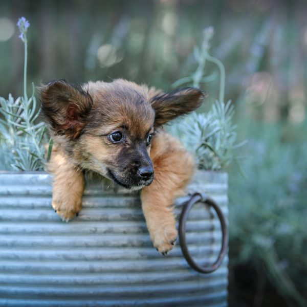 Bibi und Tina Bibi und Tina